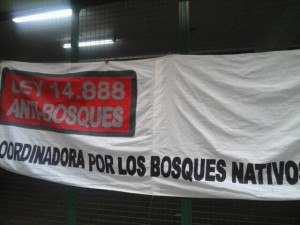 Coordinadora por los bosques nativos