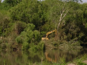 tala de bosques en Río Santiago