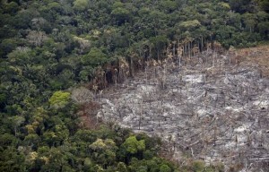 Pandemia y destrucción del planeta. Para art. del Foro