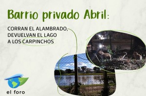 Flyer Abril carpincho